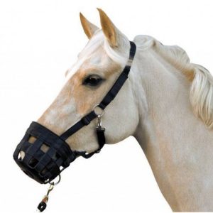 Bozal Con Cabezada Nylon Cob Negro