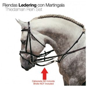 Riendas Ledering Con Martingala Negro