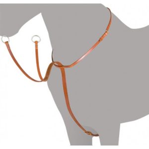 Tijerillas Ludomar Avellana